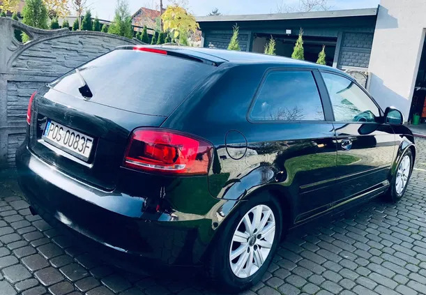 audi a3 Audi A3 cena 13900 przebieg: 196454, rok produkcji 2009 z Polanów